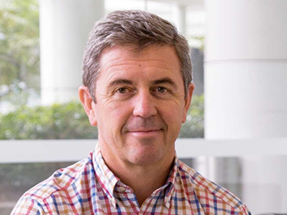 Dr David Gillespie